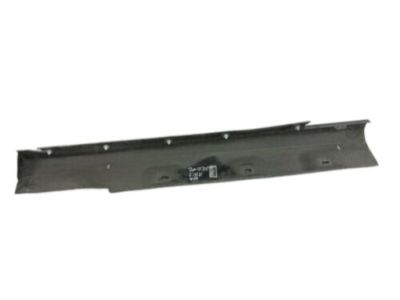 Ford AM5Z-5810176-C Moulding