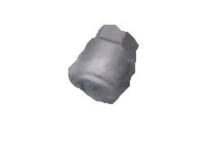 Mercury 2L1Z-1A160-BA Valve Stem Nut