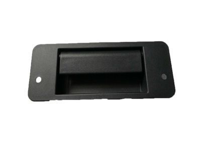 Ford F2UZ-1543401-A Handle Assy - Door - Outer         