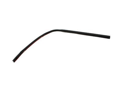 Ford 8L5Z-1051223-A Weatherstrip