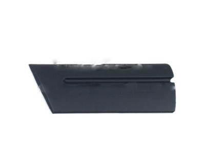 Ford 5W7Z-16037-APTM Body Side Molding