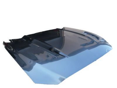 Ford FR3Z-16612-C Hood