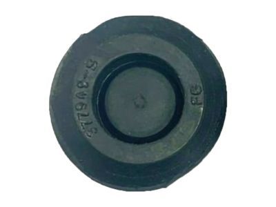 Ford -377949-S Plug