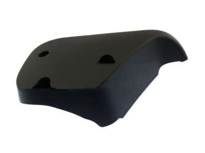 Ford DT1Z-6146410-BA Trim Cover