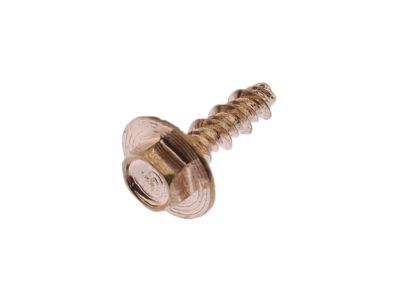 Ford -W707607-S403 Striker Screw