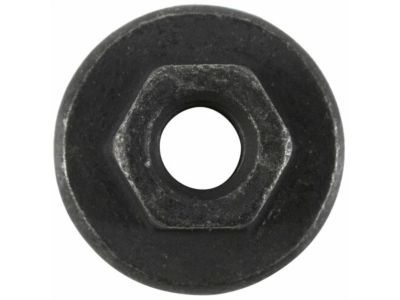 Ford -W707042-S307 Trim Cover Nut