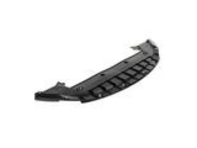 Lincoln DP5Z-8310-D Lower Shield