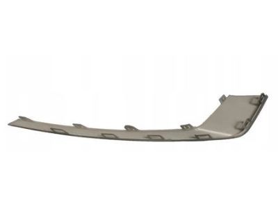 Ford HS7Z-15266-CPTM Trim Molding