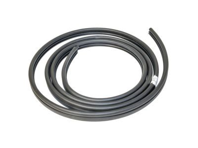 Ford F2UZ-15253A10-A Door Weatherstrip