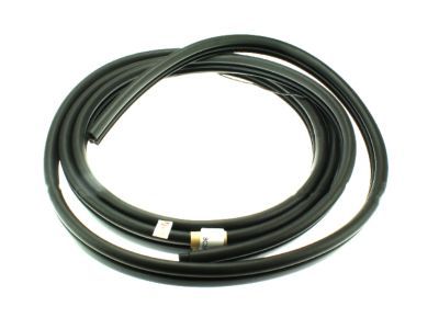 1992 Ford E-350 Econoline Weather Strip - F2UZ-15253A10-A