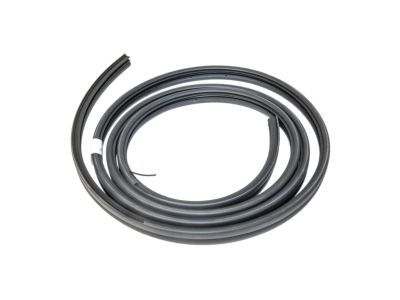 Ford F2UZ-15253A10-A Door Weatherstrip