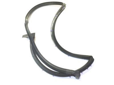 Ford F5UZ-1525325-BA Door Weatherstrip