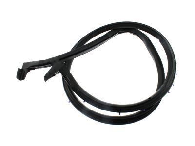 Ford E-250 Econoline Weather Strip - F5UZ-1525325-BA