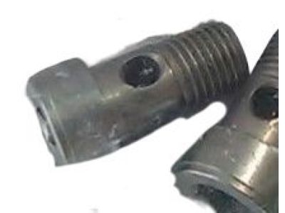 Lincoln -W715499-S900 Water Inlet Bolt