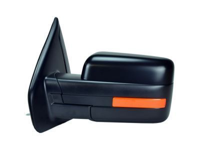 Ford 9L3Z-17683-DBPTM Mirror Outside