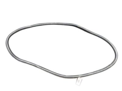 Ford FT4Z-5820708-A Weatherstrip Assy - Door Opening