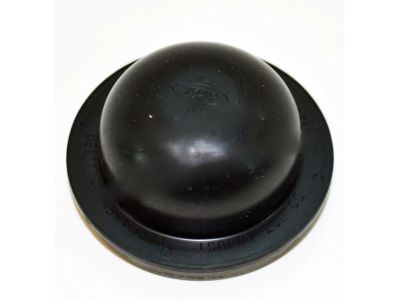 Mercury F3DZ-1N135-A Grease Cap