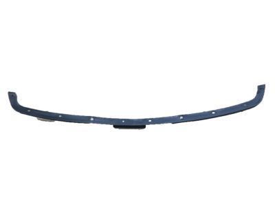 Ford 1L2Z-17626-AA Valance