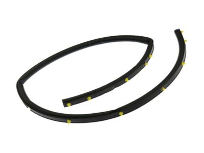 Lincoln BT4Z-16740-A Rear Seal