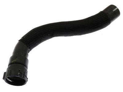 Lincoln AA5Z-8286-D Lower Hose