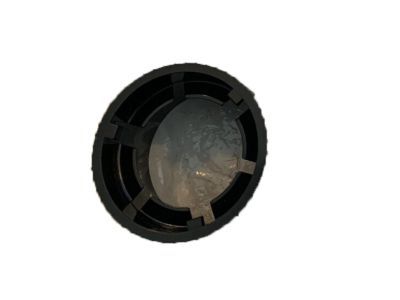 Mercury F6DZ-13N019-A Bulb & Retainer