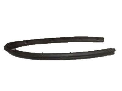 Ford 5C3Z-2521456-AA Weatherstrip - Door Belt