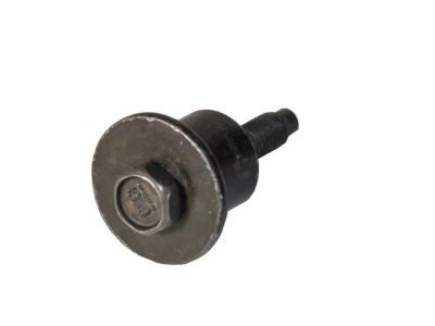 Ford -W718368-S450B Wheel Opening Molding Bolt