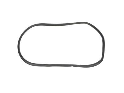 Ford Explorer Door Seal - BB5Z-78404A06-C