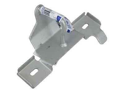 Ford 7T1Z-16K689-A Striker Assembly - Hood Lock