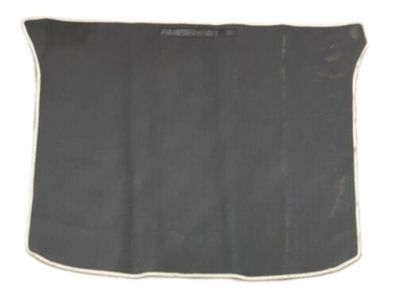 Lincoln BA1Z-7813046-AB Floor Mat