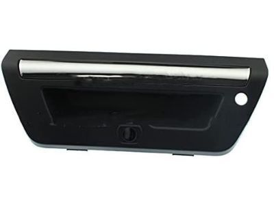 2015 Ford F-150 Tailgate Handle - FL3Z-9943400-EAPTM