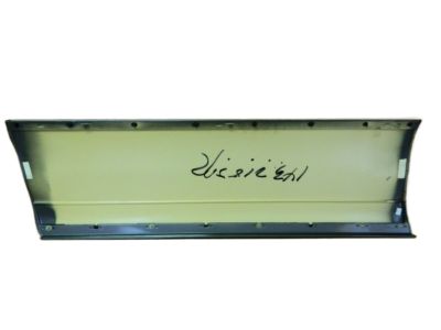 Lincoln XW1Z-5420878-AAE Moulding - Door Outside            