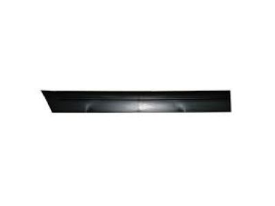 Mercury 5W7Z-5425556-APTM Body Side Molding