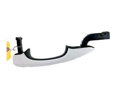 Ford SSV Plug-In Hybrid Door Handle - DS7Z-5422405-AAPTM