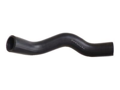 Ford F57Z-8286-C Lower Hose