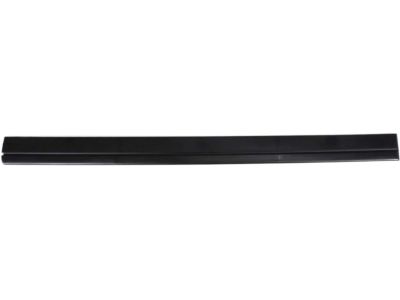 Ford 5W7Z-5420879-APTM Body Side Molding