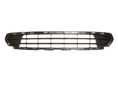 Lincoln AE5Z-8200-DACP Grille - Radiator