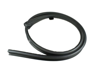 Lincoln 5L3Z-1651223-AA Weatherstrip