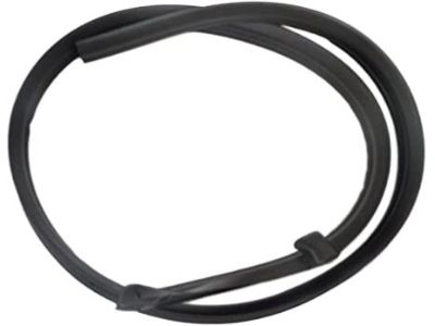 Lincoln Mark LT Weather Strip - 5L3Z-1651223-AA