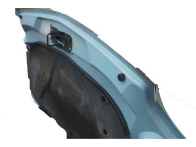 Ford 1W6Z-16612-AA Hood