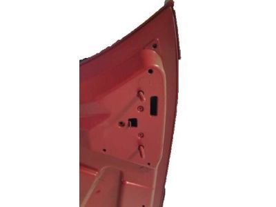 Ford 1W6Z-16612-AA Hood