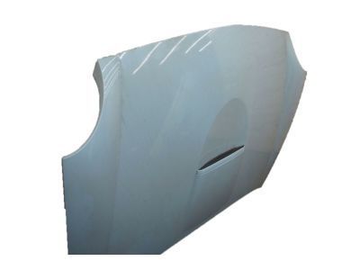 Ford 1W6Z-16612-AA Hood