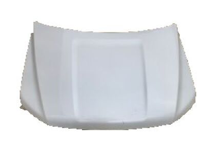 Ford JL1Z-16612-A Hood