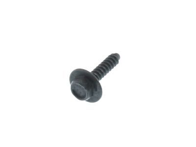 Lincoln -W705314-S424 Frame Molding Screw