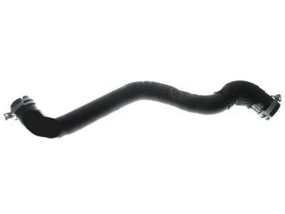 2018 Ford Focus Cooling Hose - CV6Z-8260-K