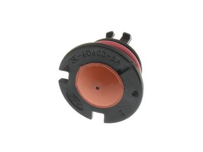 Lincoln FL3Z-6D603-D Check Valve