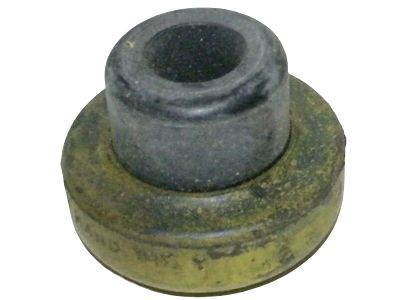 Ford F-150 Axle Pivot Bushing - F2TZ-3B203-A