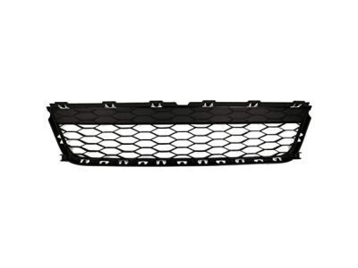 Ford FB5Z-17K945-AA Lower Grille