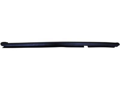 Ford 8L1Z-7825861-A Belt Weatherstrip