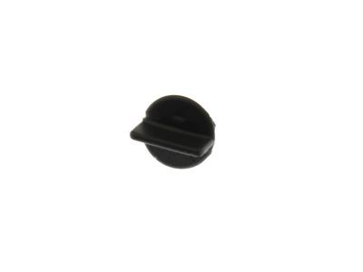 Ford F-150 Windshield Washer Nozzle - F2TZ-17603-A